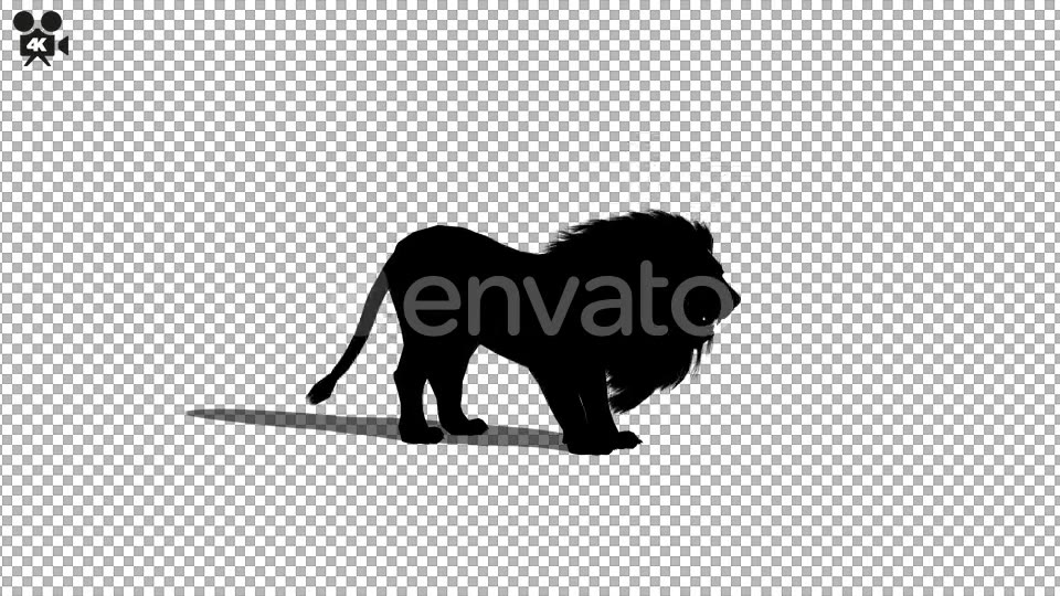 4K Lion Silhouette Howl Videohive 21721300 Motion Graphics Image 4