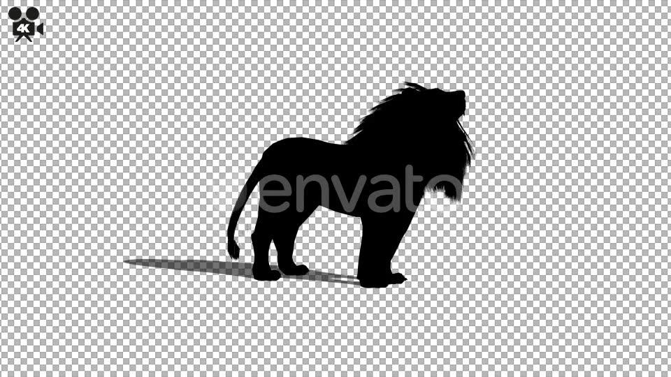 4K Lion Silhouette Howl Videohive 21721300 Motion Graphics Image 5
