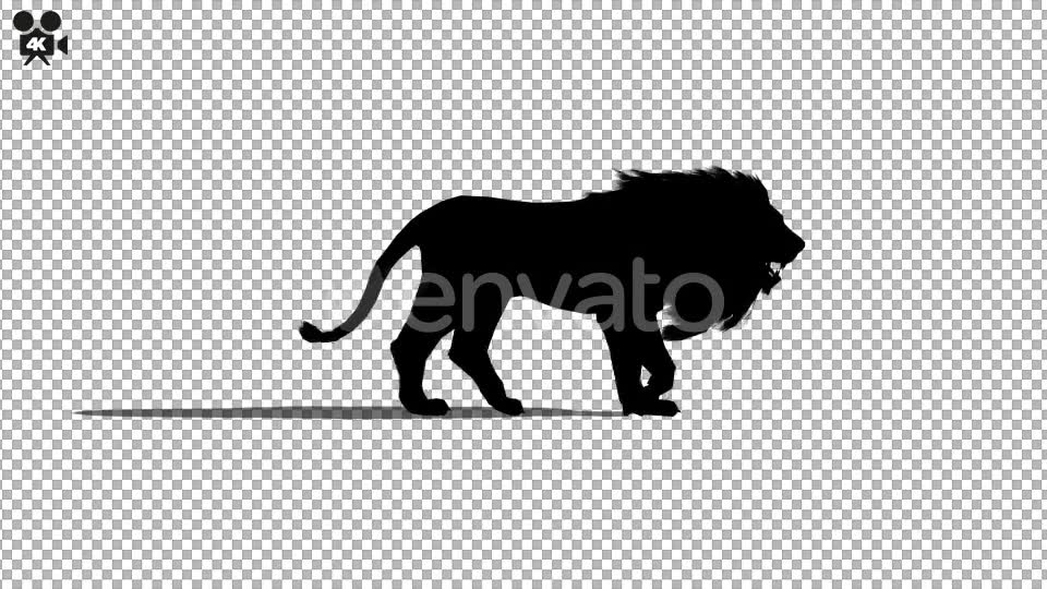 4K Lion Walk Silhouette Videohive 21721351 Motion Graphics Image 2