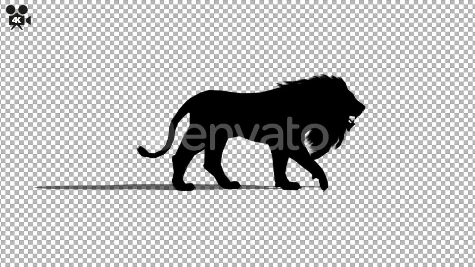 4K Lion Walk Silhouette Videohive 21721351 Motion Graphics Image 3
