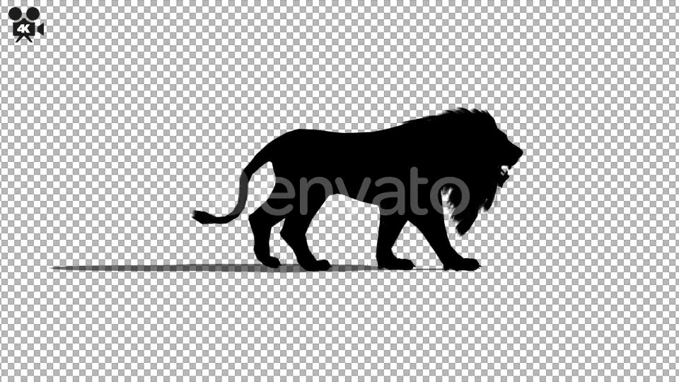 4K Lion Walk Silhouette Videohive 21721351 Motion Graphics Image 4
