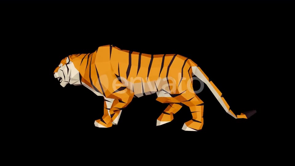 4K Low Poly Tiger Walk Videohive 23690543 Motion Graphics Image 3