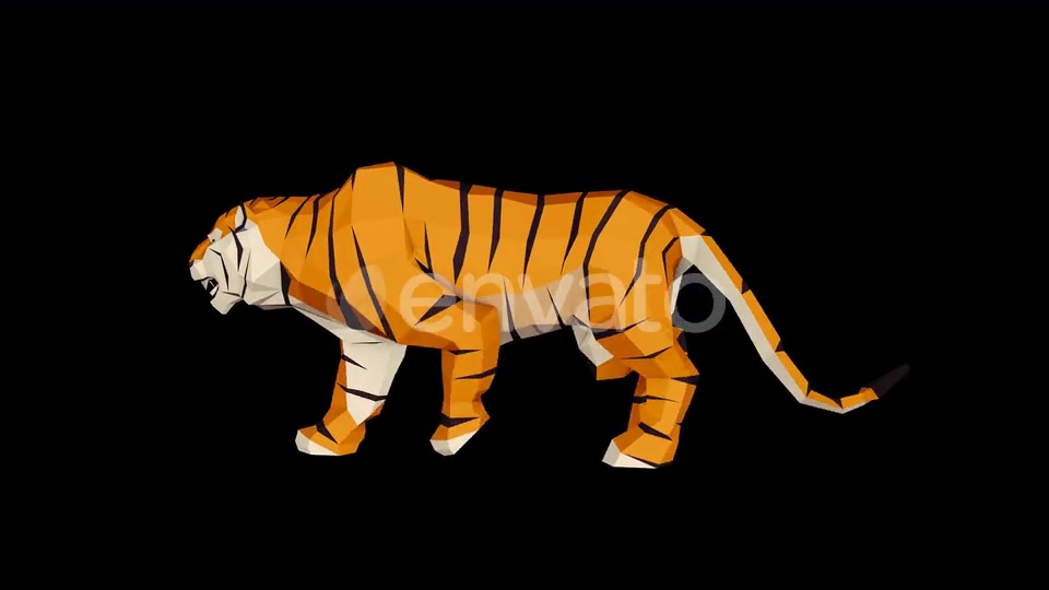 4K Low Poly Tiger Walk Videohive 23690543 Motion Graphics Image 4