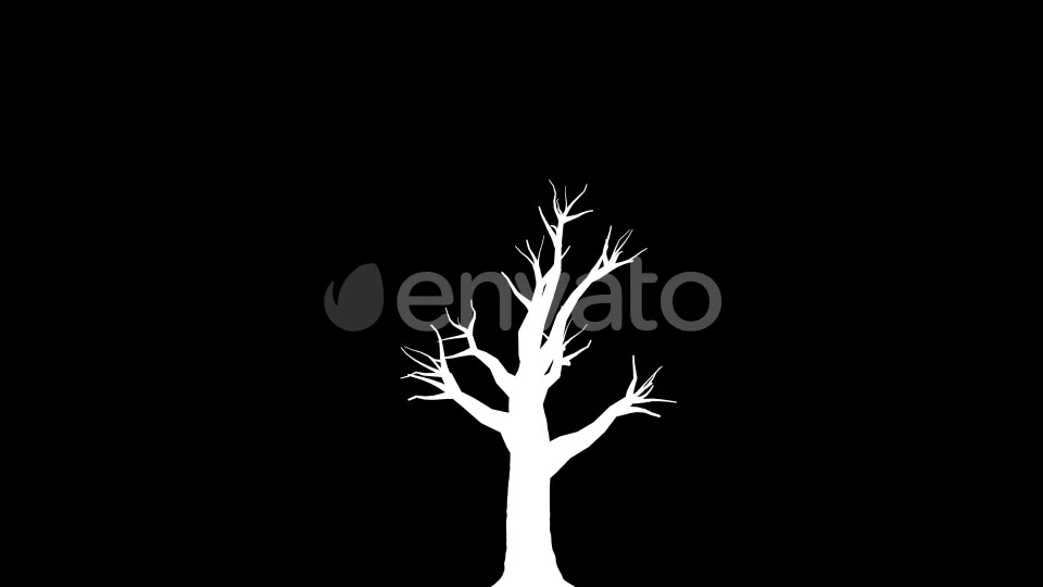 4K Oak Tree Growing Timelapse Videohive 21866517 Motion Graphics Image 6