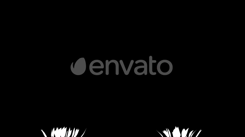 4K Wild Flower Growing Timelapse Videohive 22359656 Motion Graphics Image 5