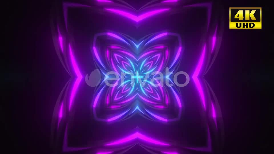 5 Neon Flower Background Pack Videohive 24768541 Motion Graphics Image 1