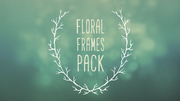 6 Floral Frames - 19875277 Download Videohive