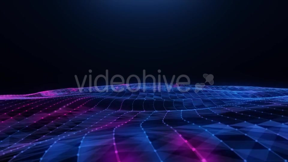 Abstract Blue pink Plexus Field Videohive 20256474 Motion Graphics Image 10