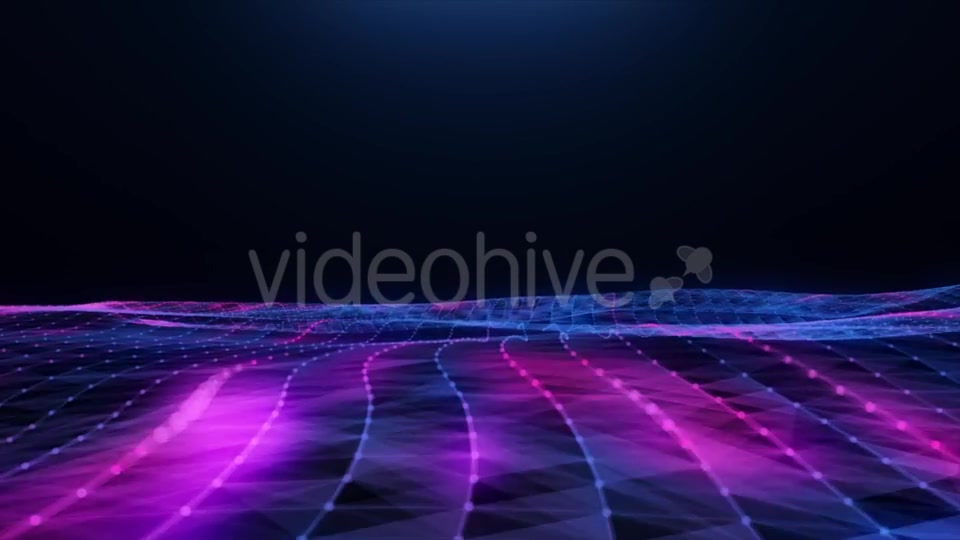 Abstract Blue pink Plexus Field Videohive 20256474 Motion Graphics Image 12