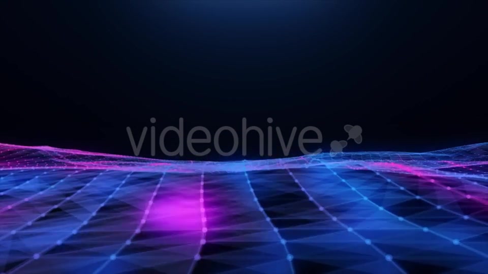 Abstract Blue pink Plexus Field Videohive 20256474 Motion Graphics Image 13
