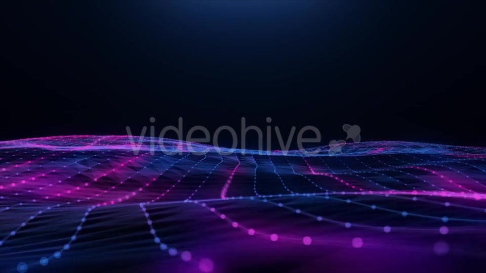 Abstract Blue pink Plexus Field Videohive 20256474 Motion Graphics Image 4