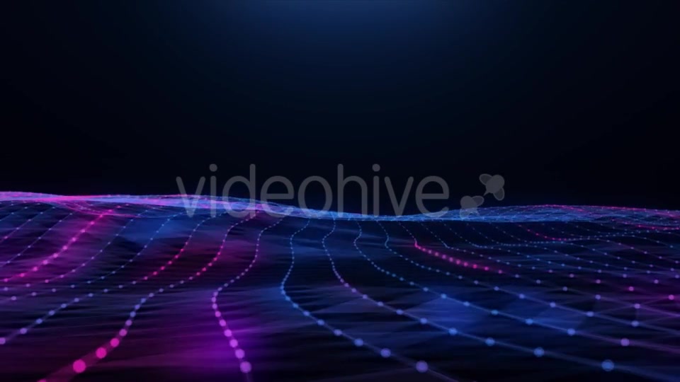 Abstract Blue pink Plexus Field Videohive 20256474 Motion Graphics Image 5