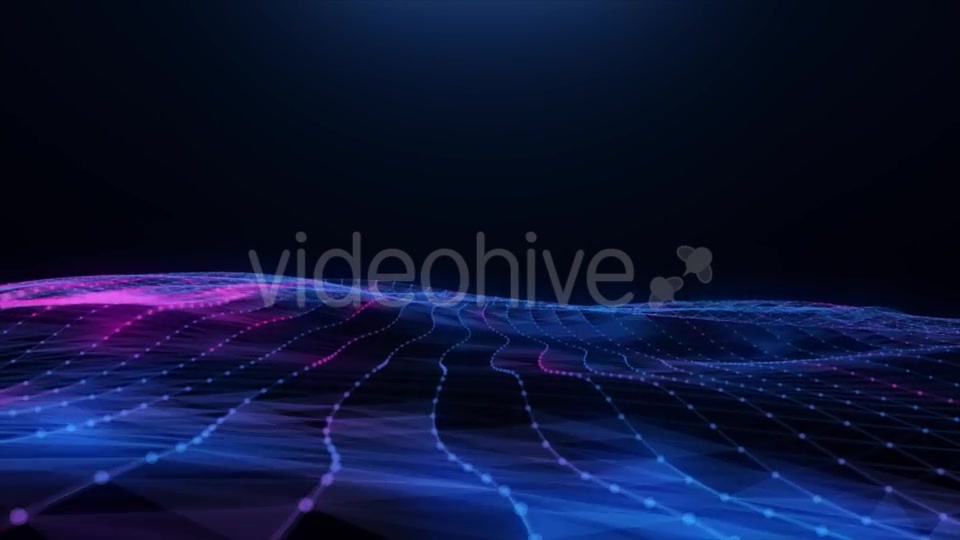 Abstract Blue pink Plexus Field Videohive 20256474 Motion Graphics Image 6