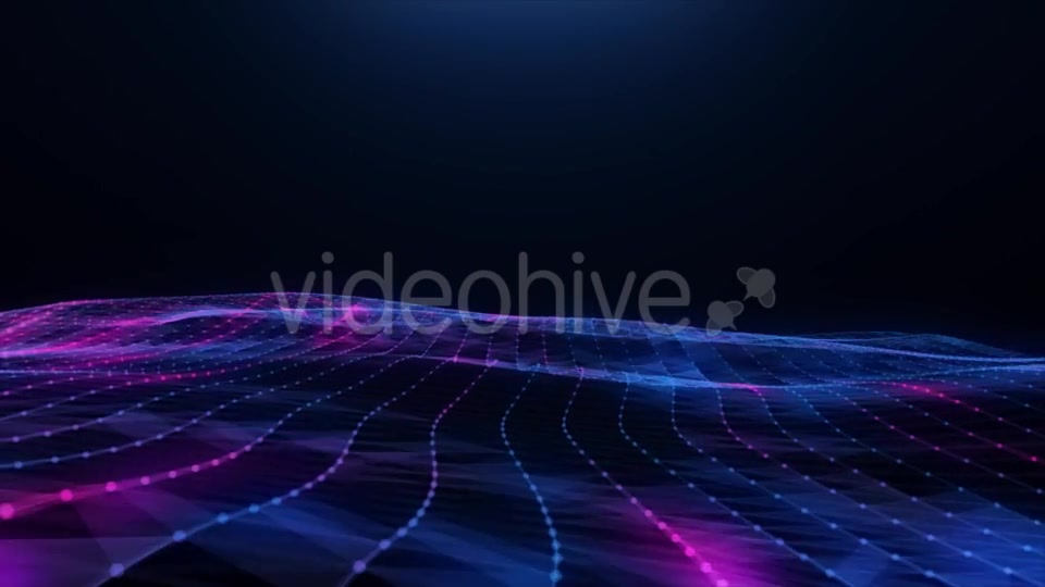 Abstract Blue pink Plexus Field Videohive 20256474 Motion Graphics Image 7