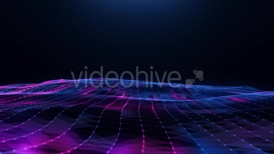 Abstract Blue pink Plexus Field Videohive 20256474 Motion Graphics Image 8