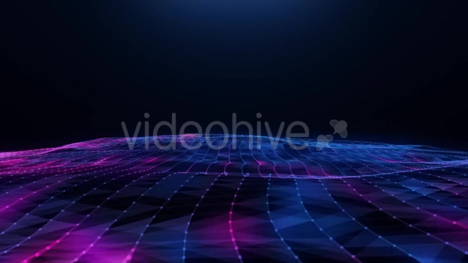 Abstract Blue pink Plexus Field Videohive 20256474 Motion Graphics Image 9