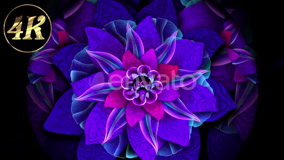 Abstract Flower 3 Videohive 25516611 Motion Graphics Image 1