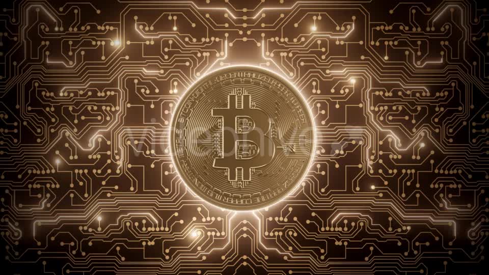 Abstract Loop Bitcoin World in Circuits Videohive 21349504 Motion Graphics Image 7