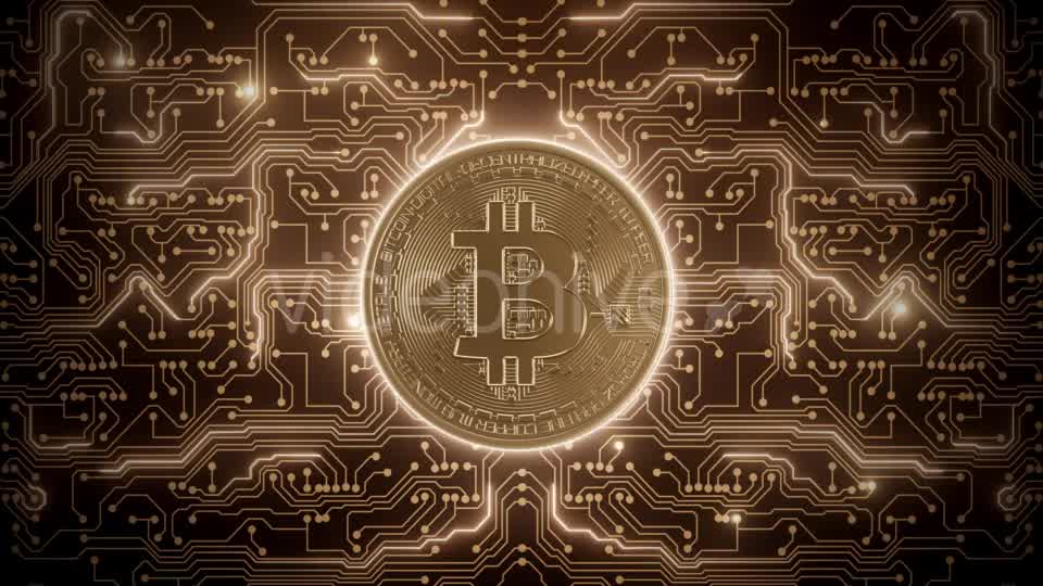 Abstract Loop Bitcoin World in Circuits Videohive 21349504 Motion Graphics Image 8