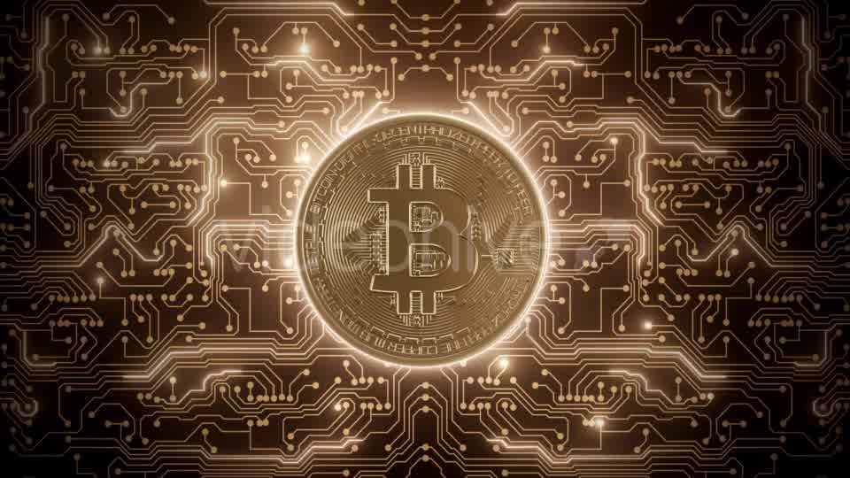 Abstract Loop Bitcoin World in Circuits Videohive 21349504 Motion Graphics Image 9