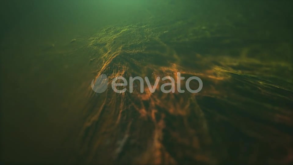 Abstract Particles Videohive 21810596 Motion Graphics Image 8
