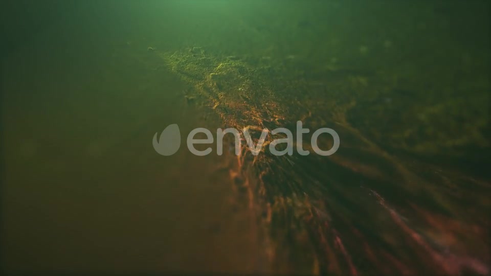 Abstract Particles Videohive 21810596 Motion Graphics Image 9