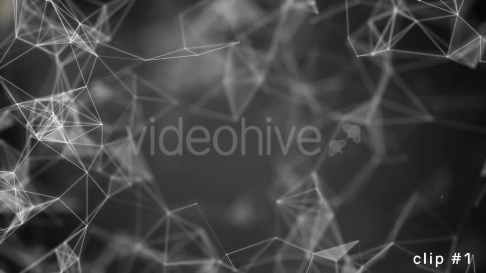 Abstract Plexus Background Looped Pack Videohive 21486631 Motion Graphics Image 2
