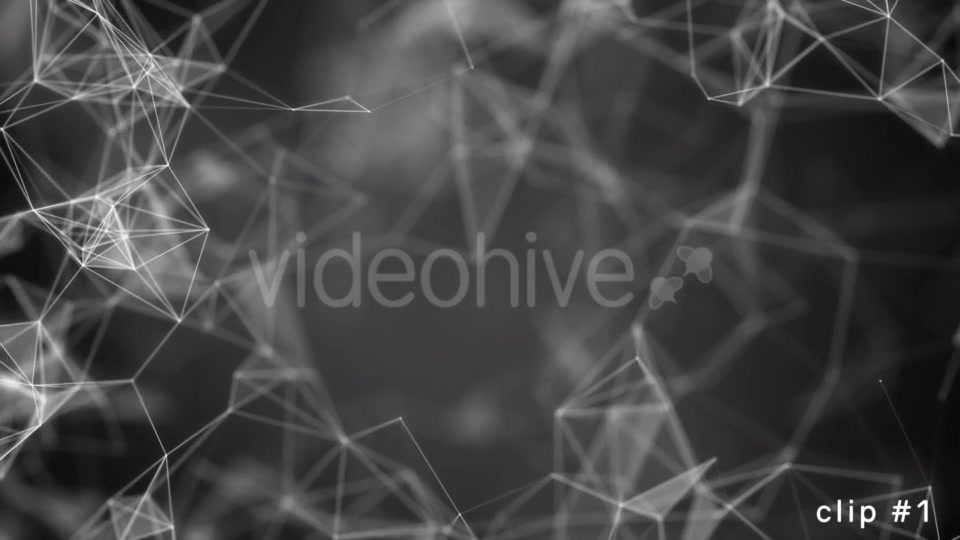 Abstract Plexus Background Looped Pack Videohive 21486631 Motion Graphics Image 3