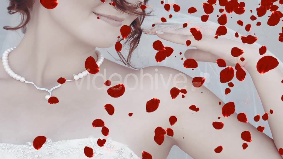 Alfa Rose Petals (2 in 1) Videohive 9009239 Motion Graphics Image 4