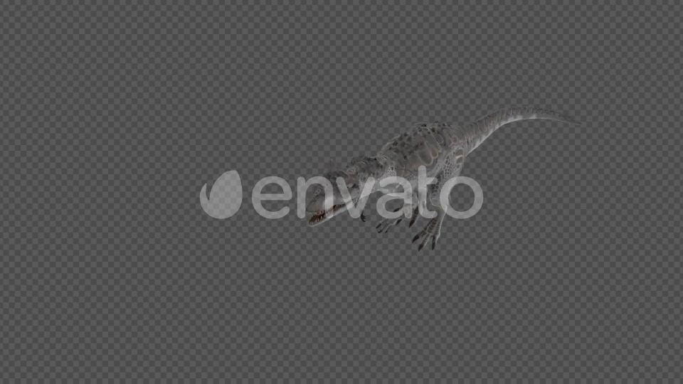 Allosaurus Dinosaur Roar Startled Swim 12 In 1 Videohive 22113637 Motion Graphics Image 8