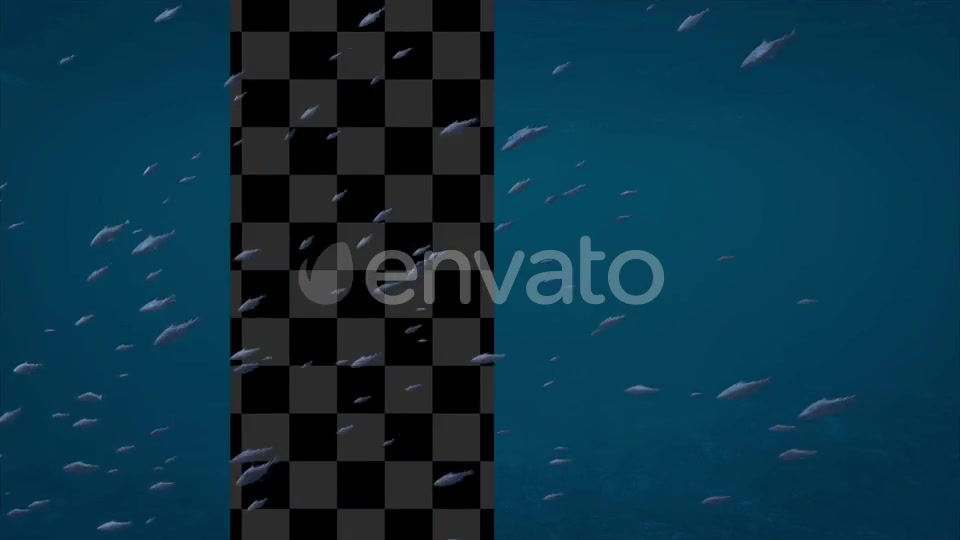 Alpha Channel Fish Pack Videohive 23821949 Motion Graphics Image 7