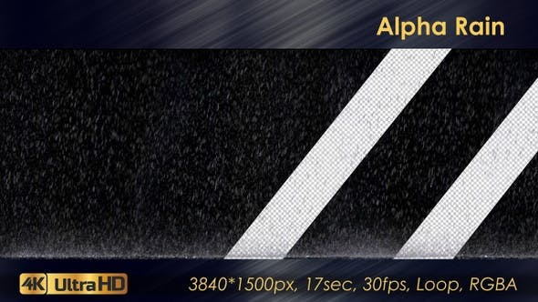 Alpha Rain - 23616321 Videohive Download