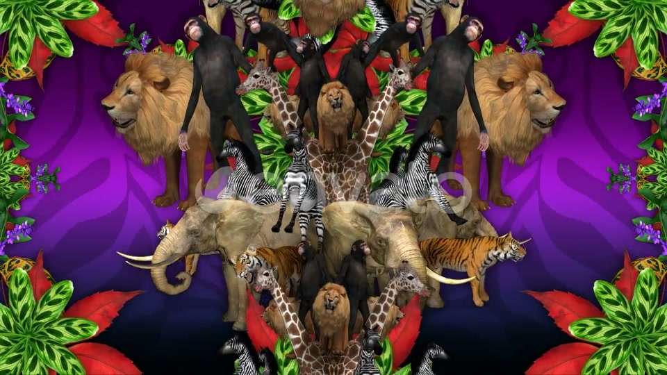 Animal Jungle Videohive 22294277 Motion Graphics Image 4