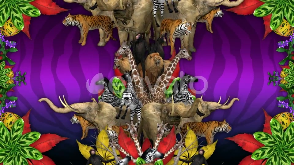 Animal Jungle Videohive 22294277 Motion Graphics Image 5