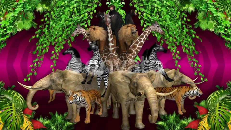 Animal Jungle Videohive 22294277 Motion Graphics Image 7