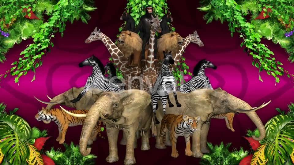 Animal Jungle Videohive 22294277 Motion Graphics Image 8