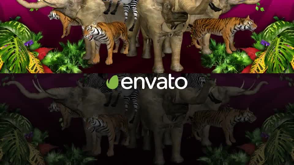Animal Jungle Videohive 22294277 Motion Graphics Image 9