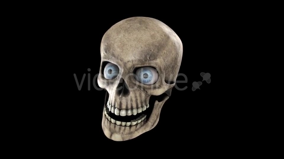 Animated Skull With Eyes Videohive 18244345 Motion Graphics Image 4