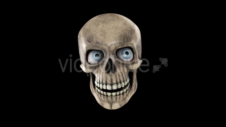 Animated Skull With Eyes Videohive 18244345 Motion Graphics Image 5