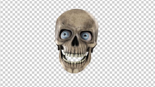 Animated Skull With Eyes - 18244345 Videohive Download