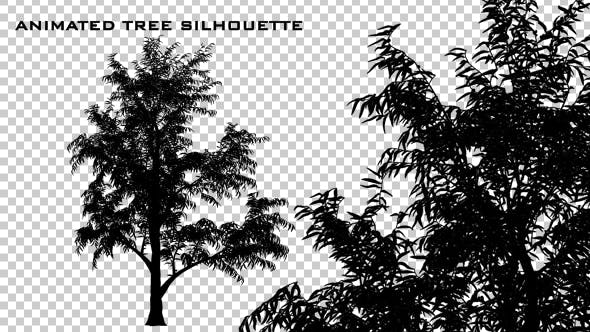 Animated Tree Silhouette - 20509813 Videohive Download