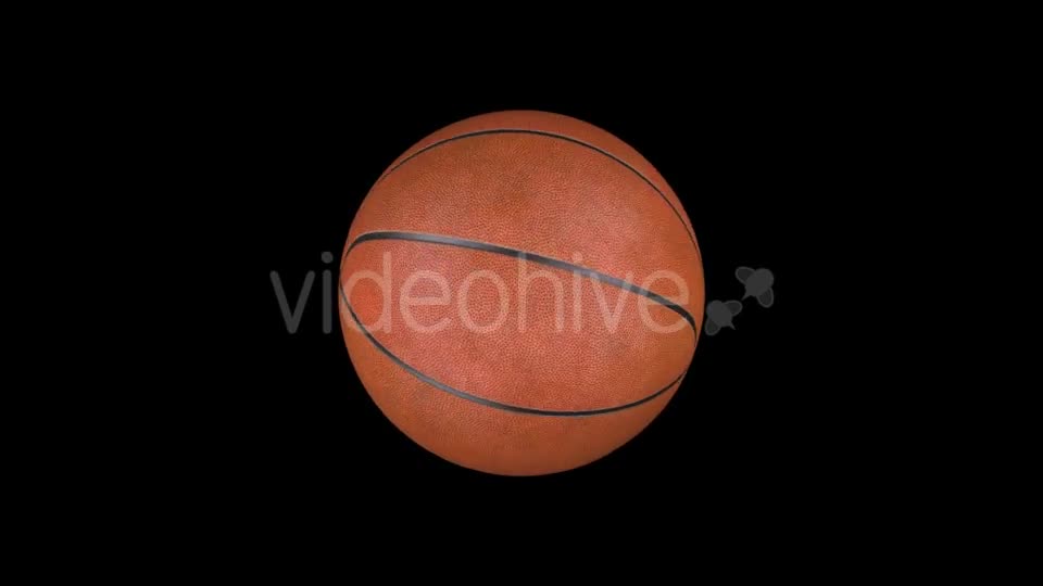 Animation Basketball Videohive 18202042 Motion Graphics Image 1