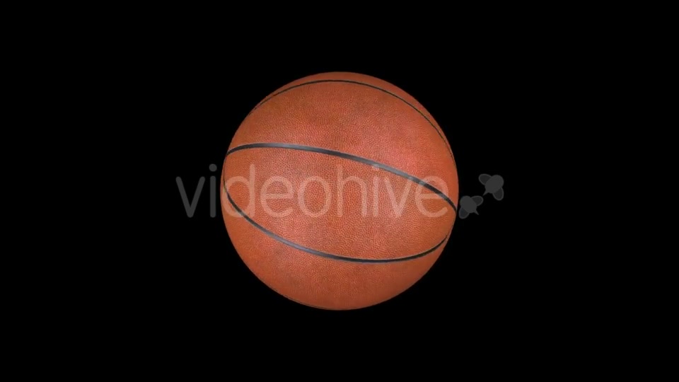 Animation Basketball Videohive 18202042 Motion Graphics Image 4