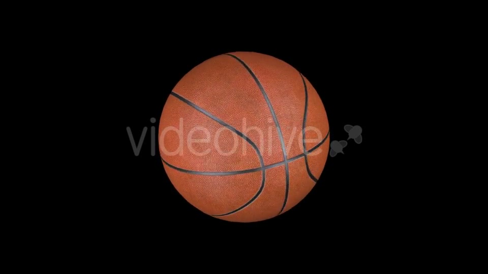 Animation Basketball Videohive 18202042 Motion Graphics Image 6