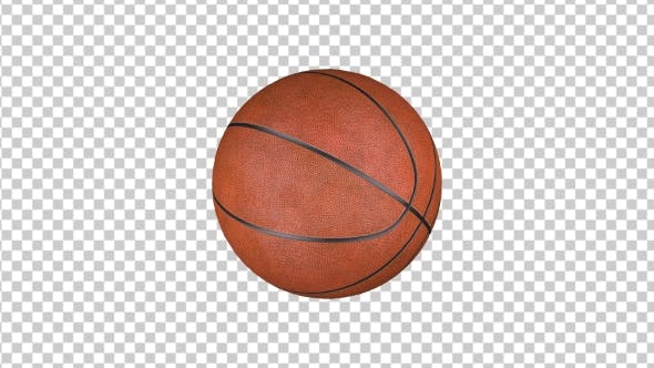 Animation Basketball - Download 18202042 Videohive