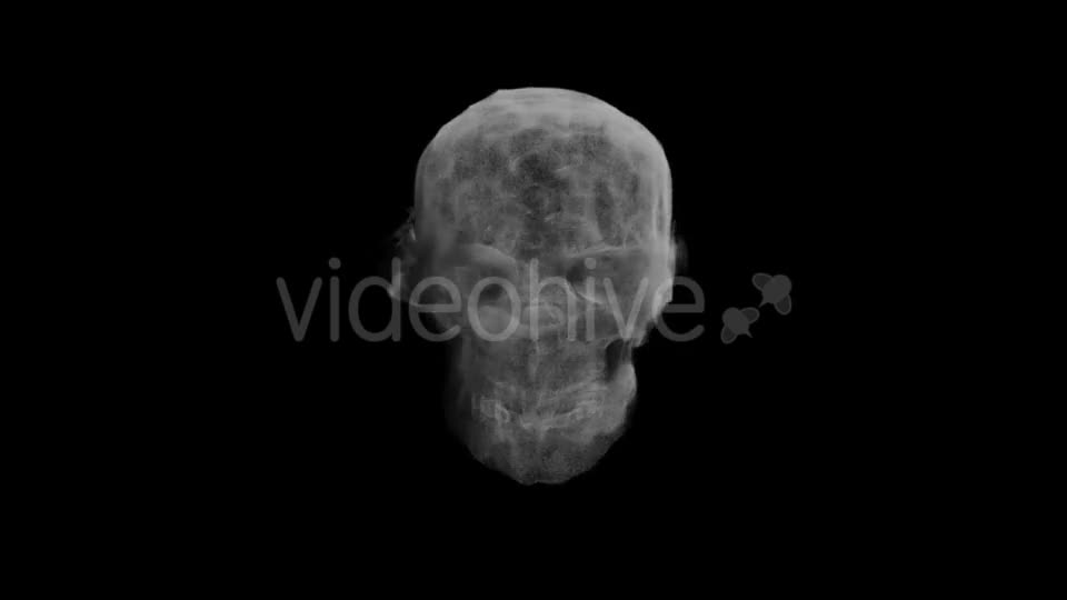 Animation Head Ghost Skull Smoke Videohive 19560192 Motion Graphics Image 1