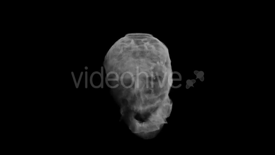 Animation Head Ghost Skull Smoke Videohive 19560192 Motion Graphics Image 10