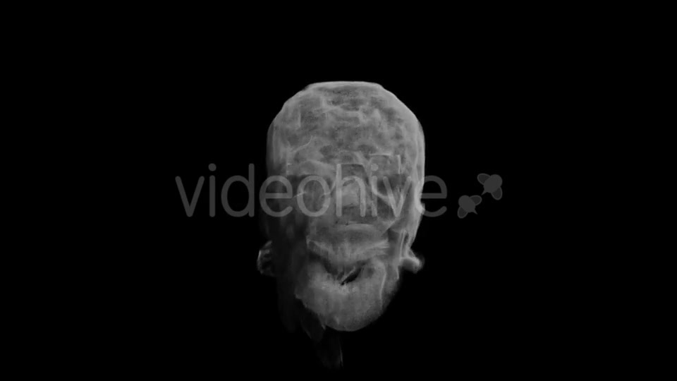 Animation Head Ghost Skull Smoke Videohive 19560192 Motion Graphics Image 11