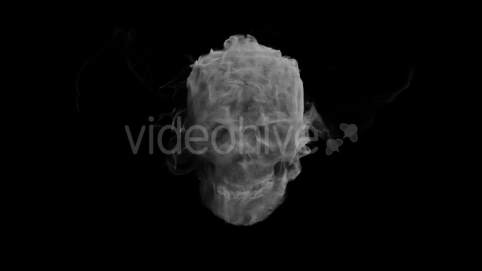 Animation Head Ghost Skull Smoke Videohive 19560192 Motion Graphics Image 2