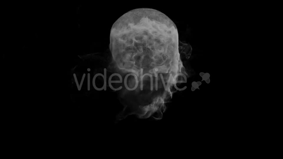 Animation Head Ghost Skull Smoke Videohive 19560192 Motion Graphics Image 3